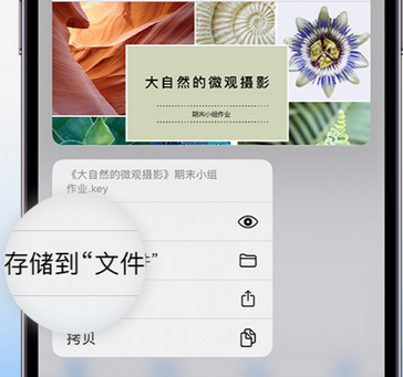 迭部apple维修中心分享iPhone文件应用中存储和找到下载文件