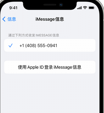 迭部apple维修iPhone上无法正常发送iMessage信息 