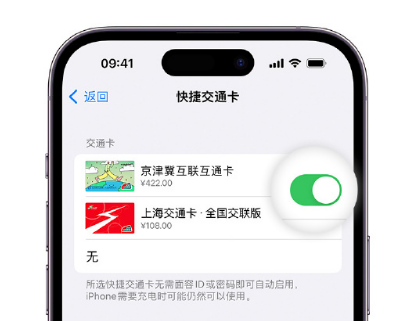 迭部apple维修点分享iPhone上更换Apple Pay快捷交通卡手绘卡面 