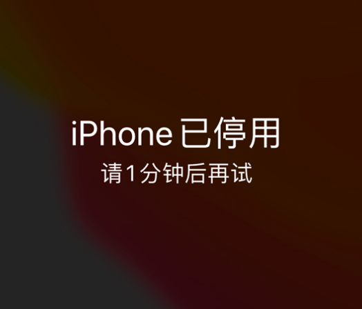 迭部苹果手机维修分享:iPhone 显示“不可用”或“已停用”怎么办？还能保留数据吗？ 