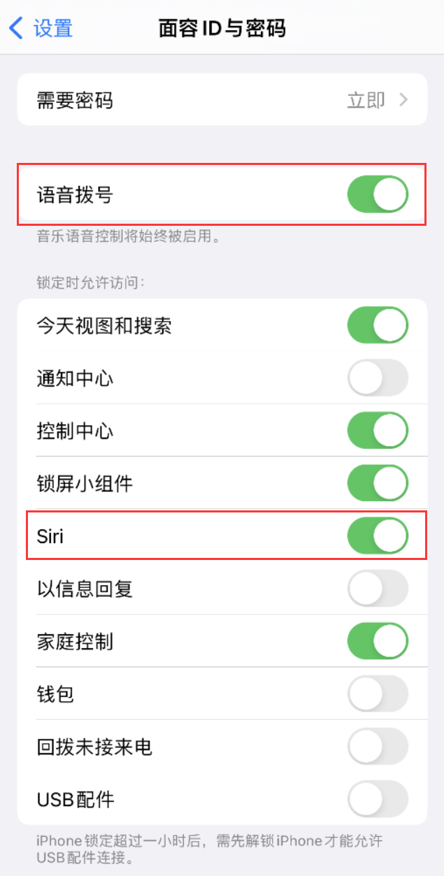 迭部苹果维修网点分享不解锁 iPhone 的情况下通过 Siri 拨打电话的方法 