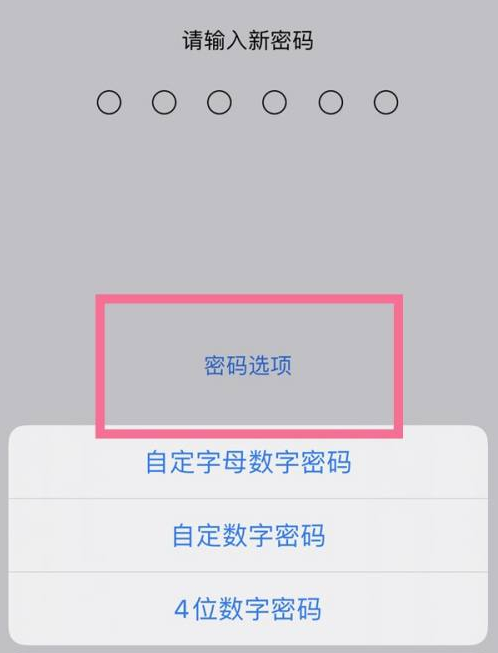 迭部苹果14维修分享iPhone 14plus设置密码的方法 