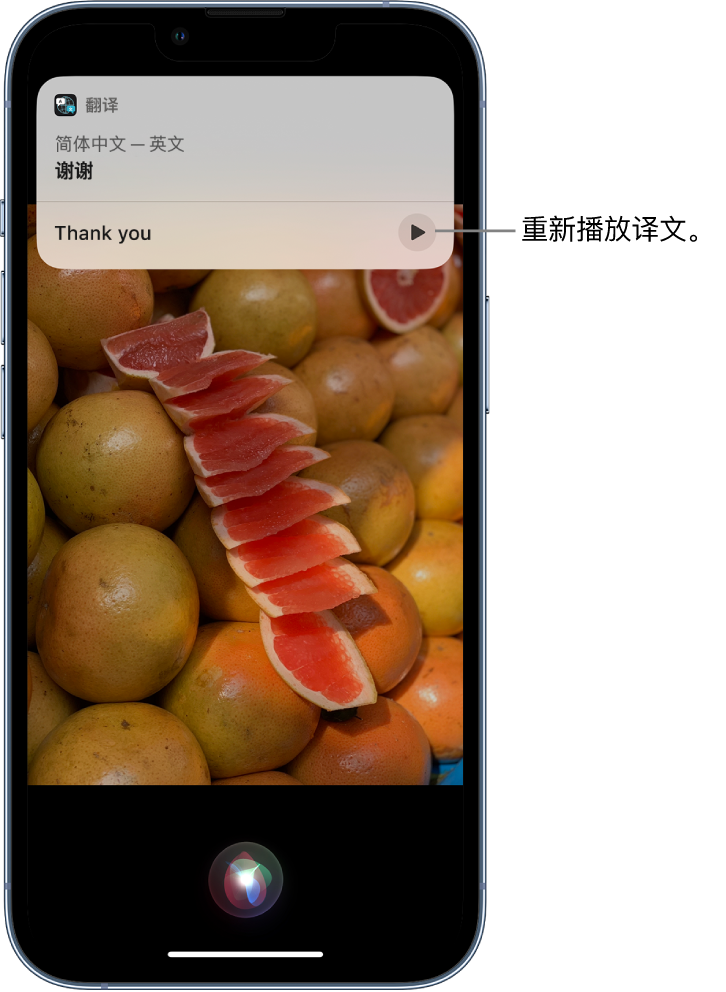 迭部苹果14维修分享 iPhone 14 机型中使用 Siri：了解 Siri 能帮你做什么 