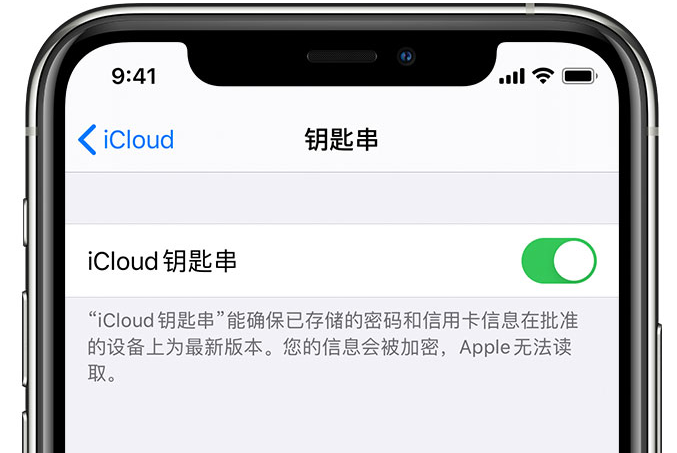 迭部苹果手机维修分享在 iPhone 上开启 iCloud 钥匙串之后会储存哪些信息 