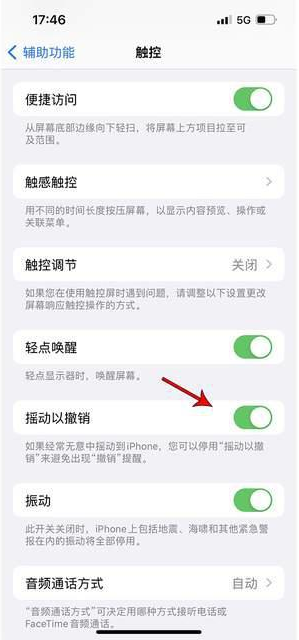 迭部苹果手机维修分享iPhone手机如何设置摇一摇删除文字 